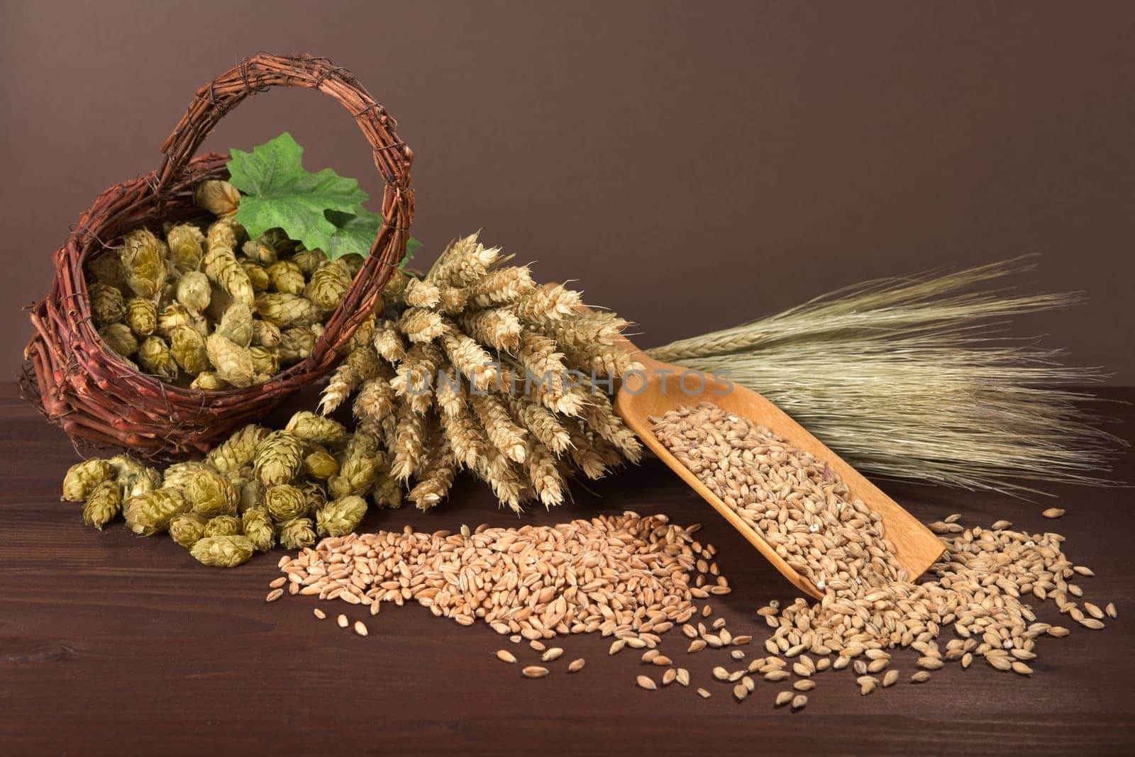 Beer ingredients - wheat,barley,hops and malt