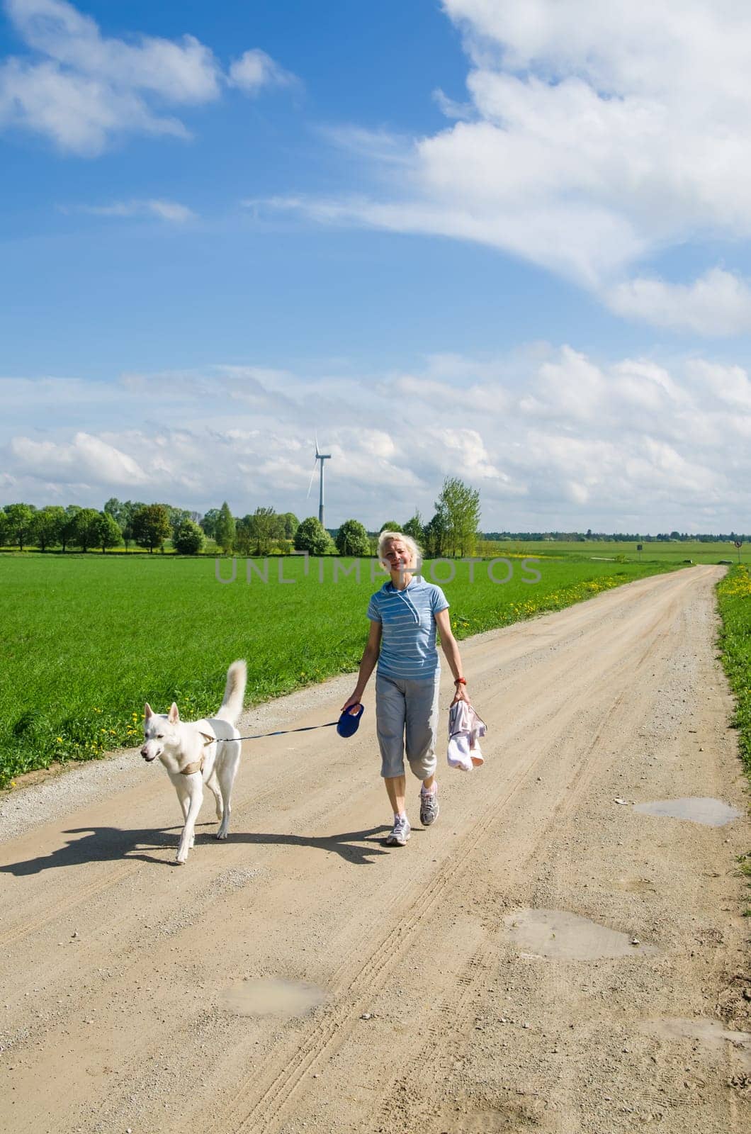 Woman with a dog goes on a country road