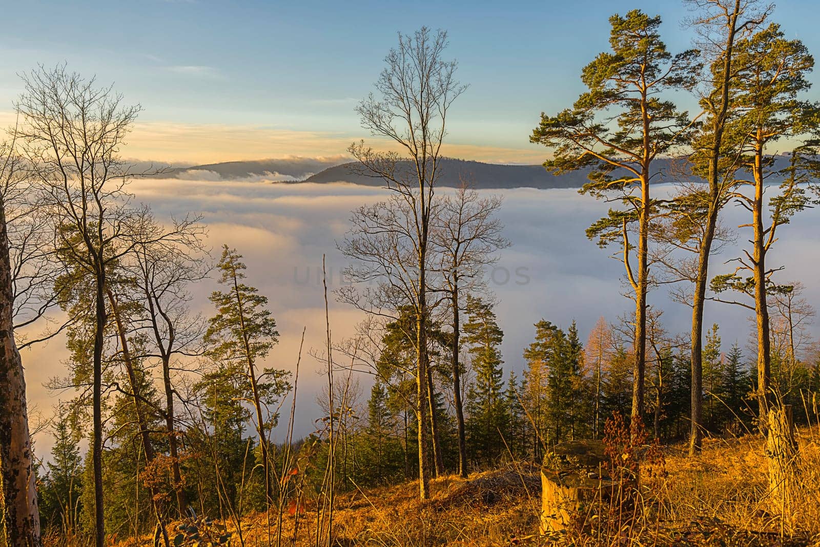 Dawn over the Sea of Clouds