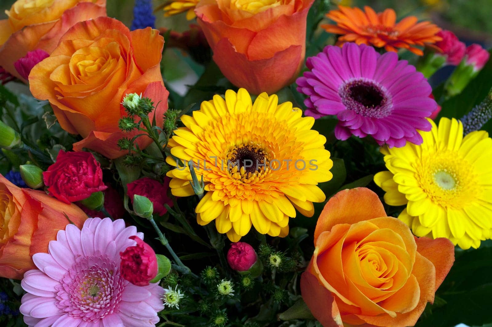 Bouquet,Bouquet,colorful