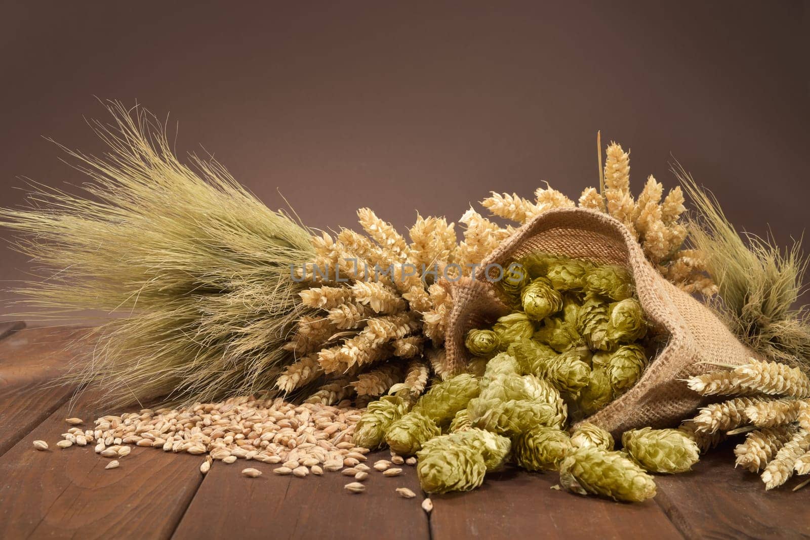 Beer ingredients - wheat,barley,hops and malt