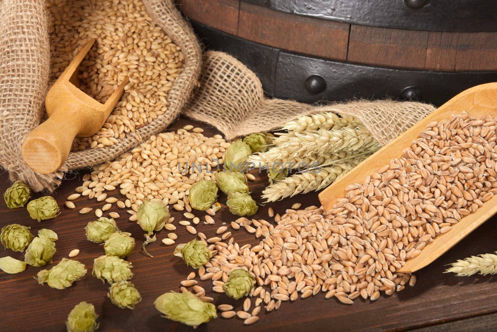 Beer barrel with wheat,barley,hops and malt