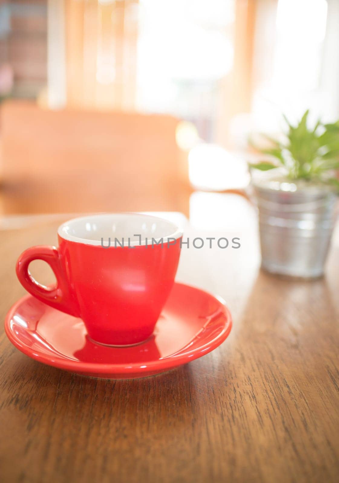 Red cup of coffee and green plant bucket on wooden table, stock photo