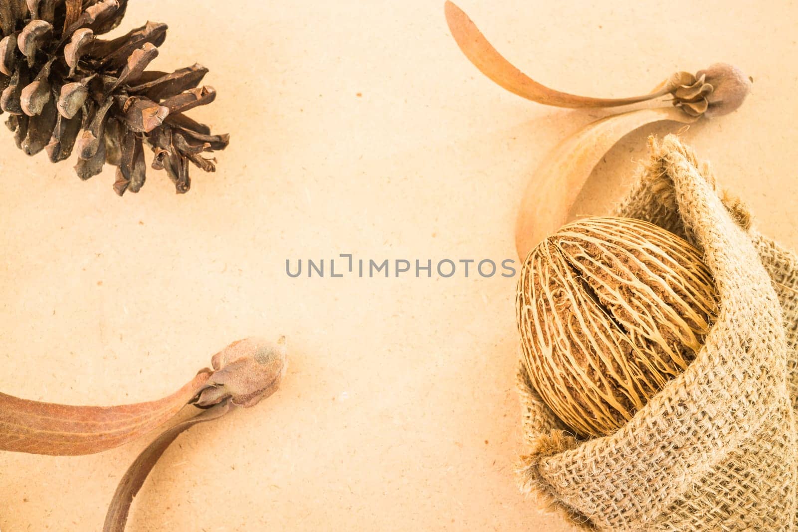 Mix of dried plant ornament on wooden background, stock photo