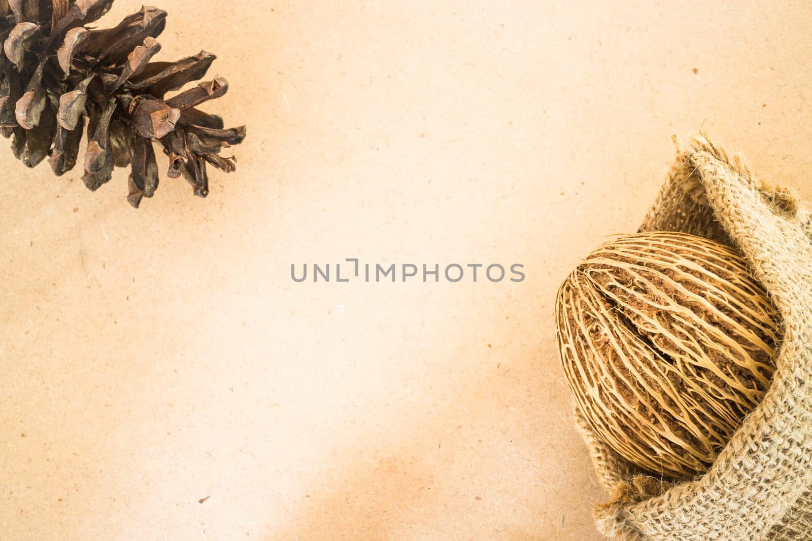 Dried plant ornament on wooden background, stock photo