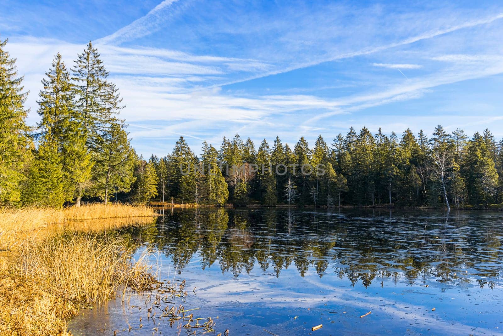 Etang de la Gruére 2