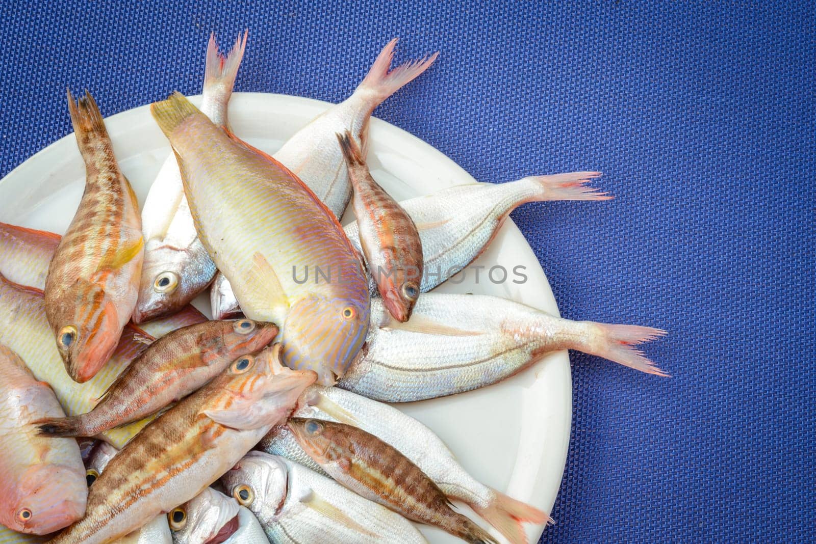 recently caught fish ready to be cooked on barbecue