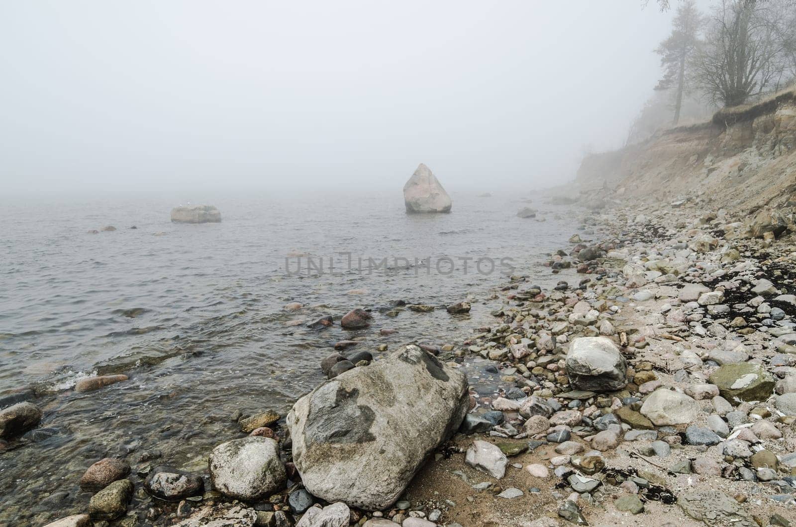 Stony coast of Baltic sea foggy in the morning