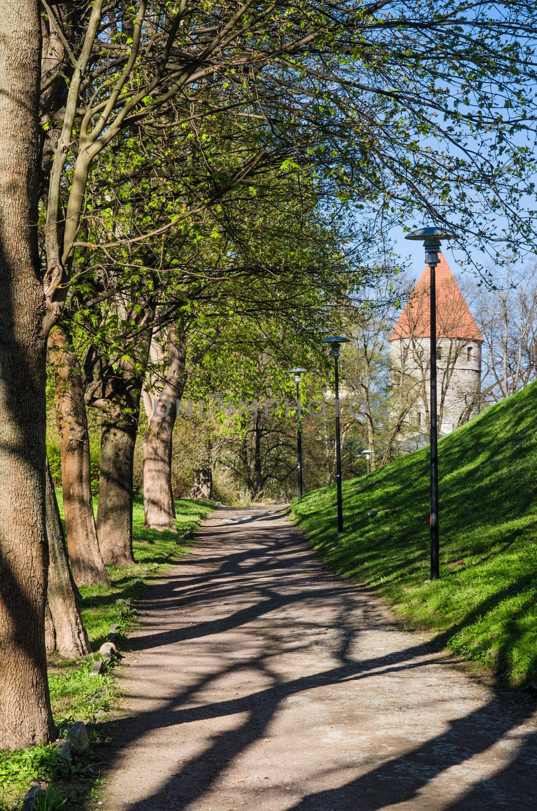Park in Tallinn, a beautiful spring day