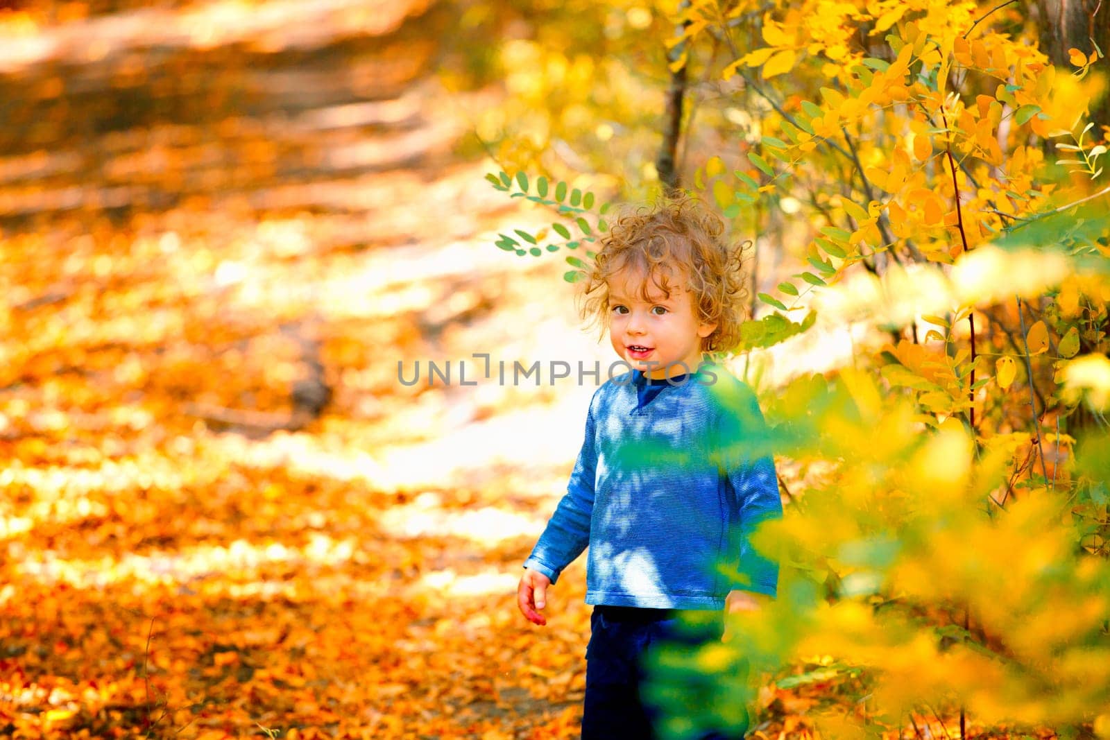 Portrait of 1 year old baby boy taking a walk in the woods in the fall.