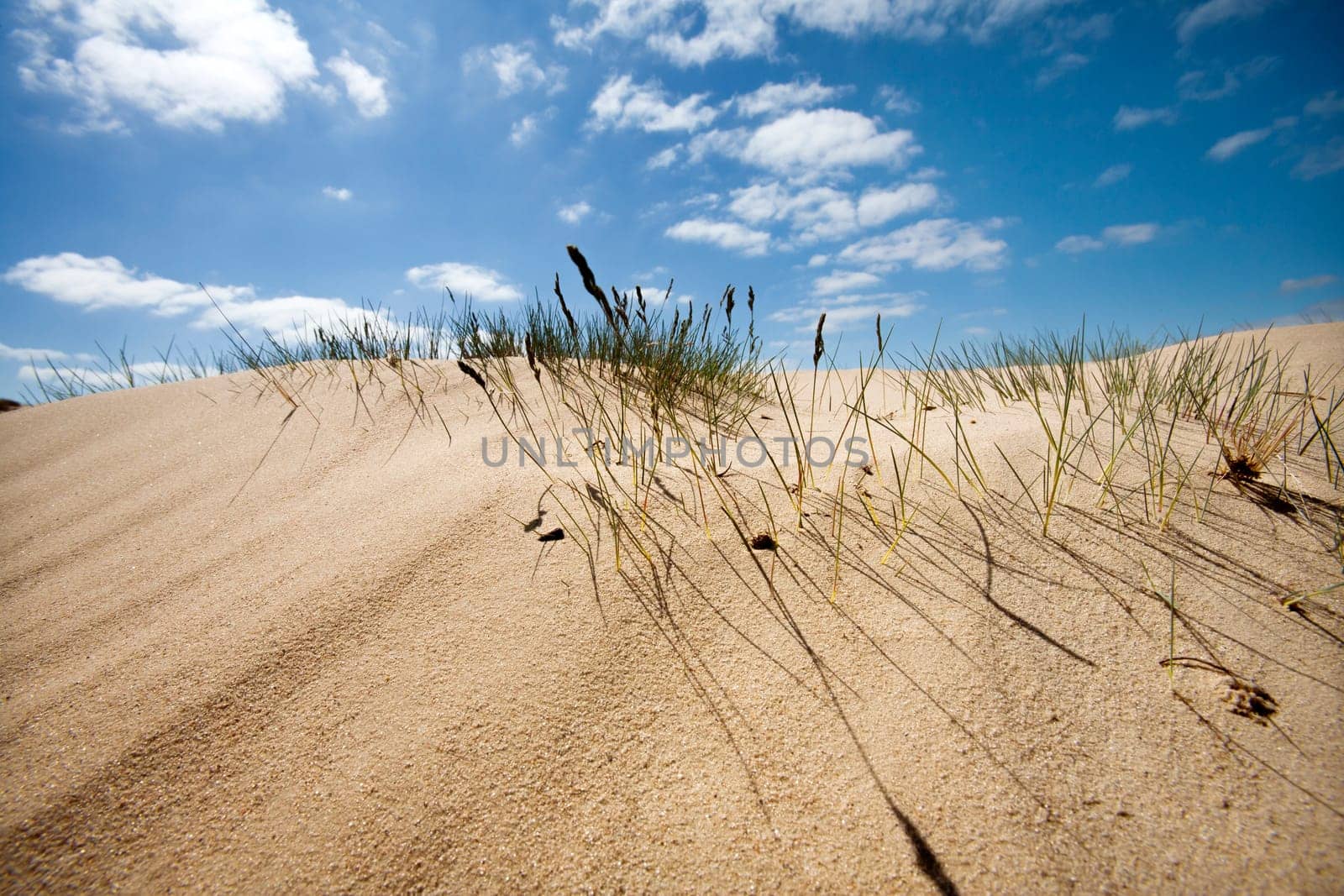 Sand dune with some grass and a nice blue sky with a few clouds