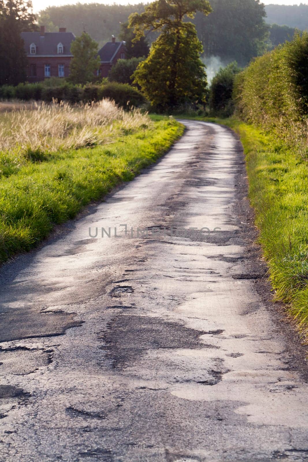 Country road in the North of France