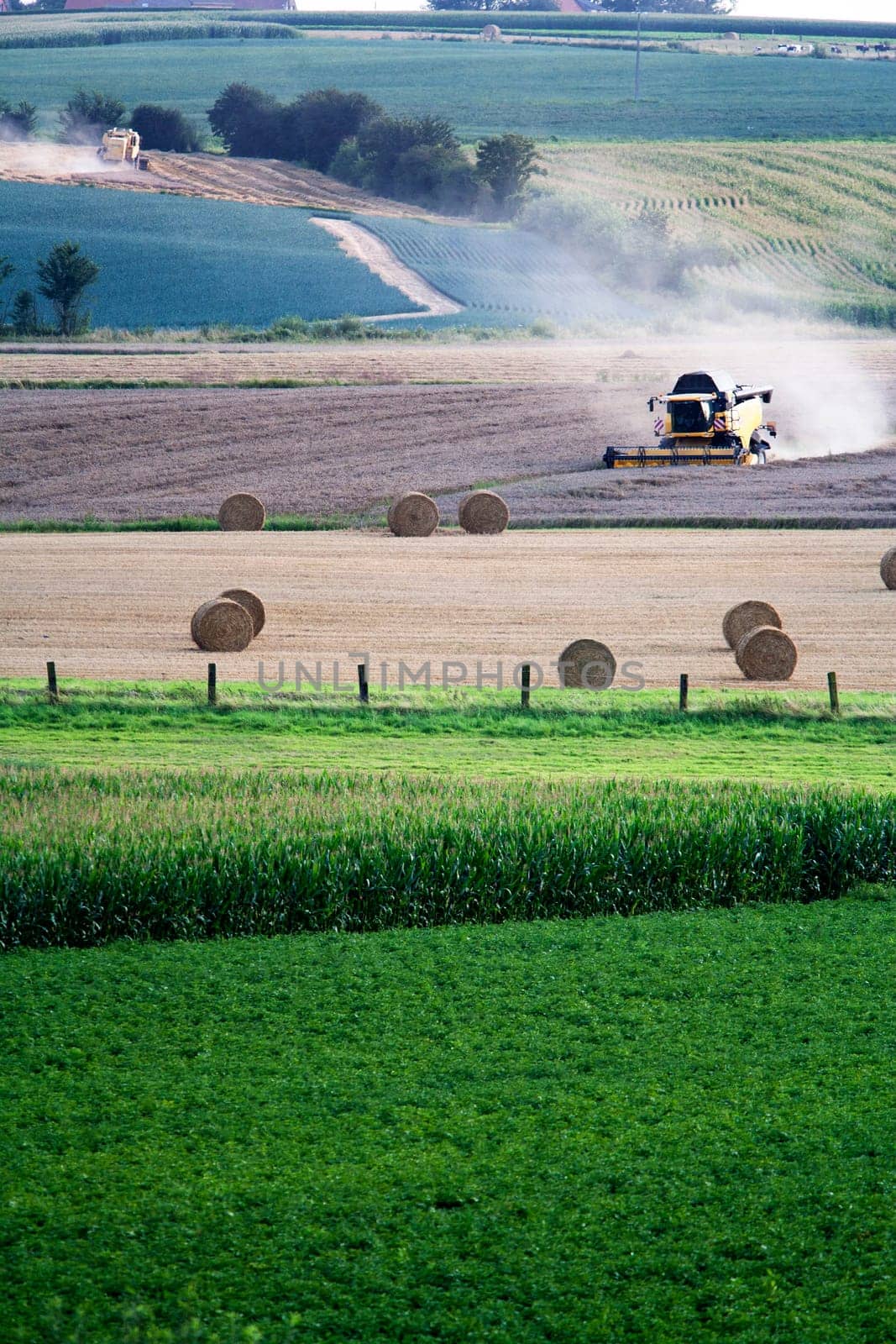 Harvesting with combine harvesters in the North of France