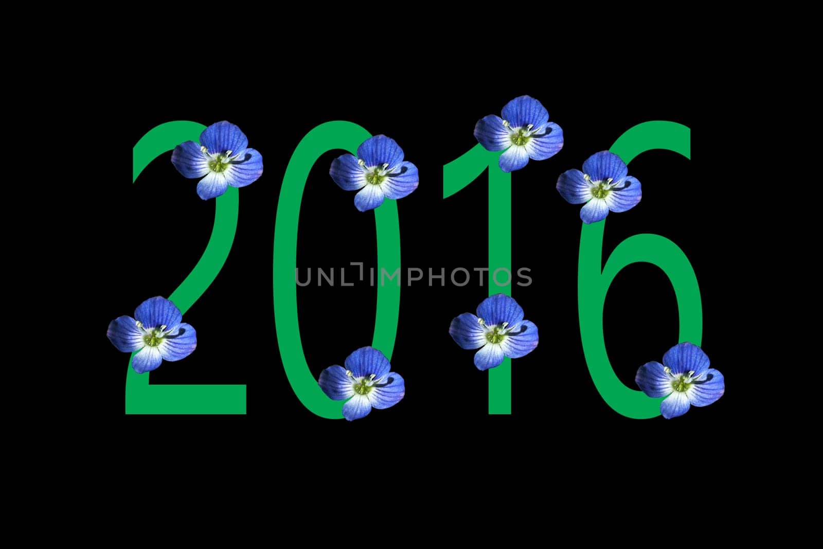 The New Year 2016