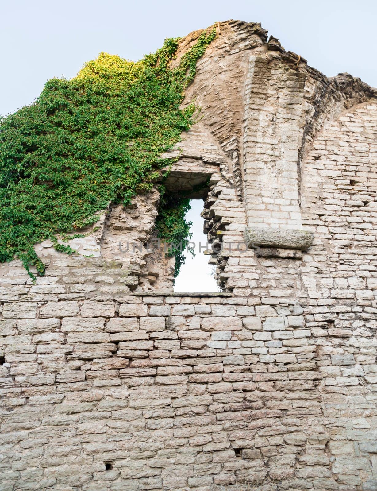 Window in Ruin with green vegetation growing on it.