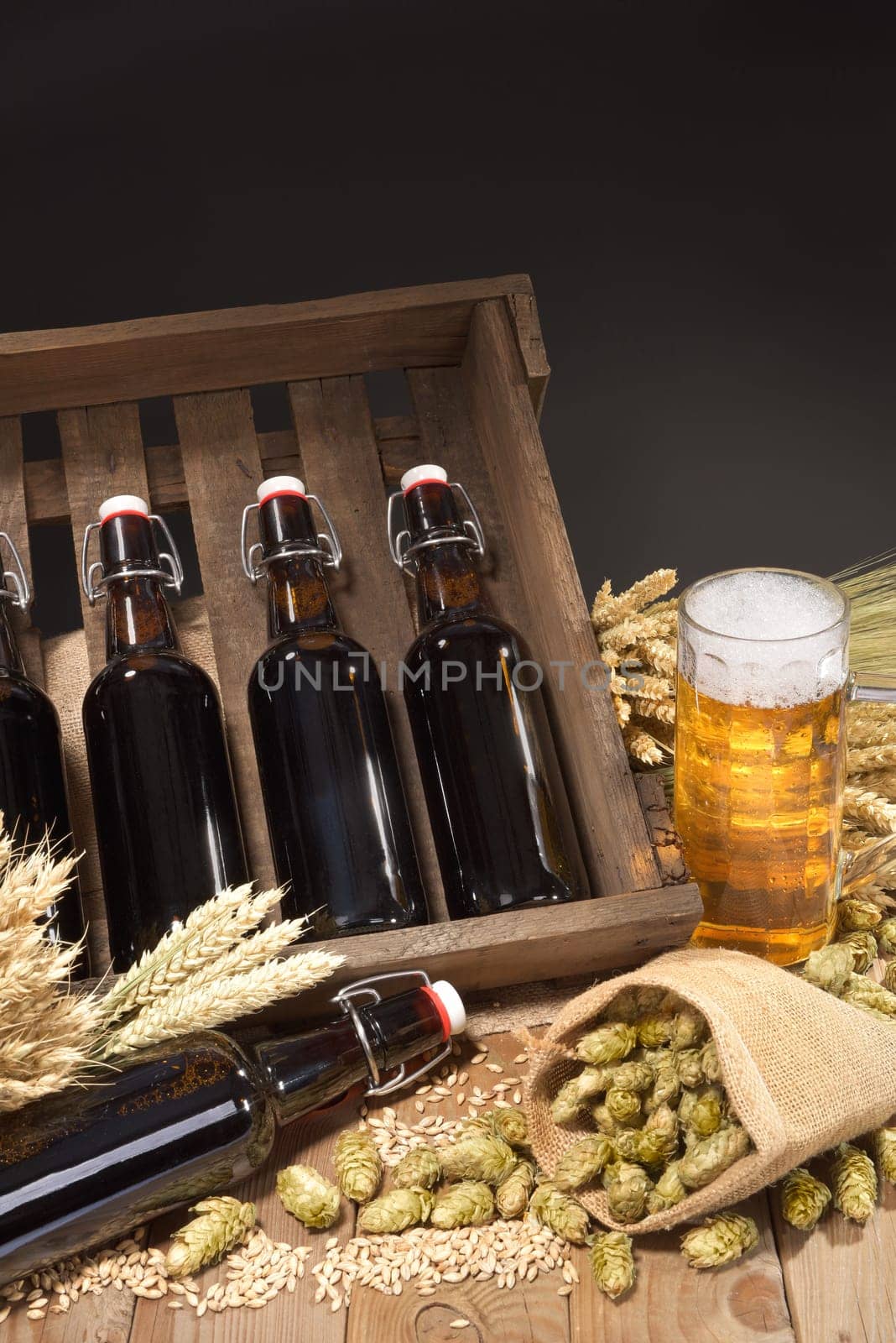 Beer box and beer glass with wheat,barley,hops and malt