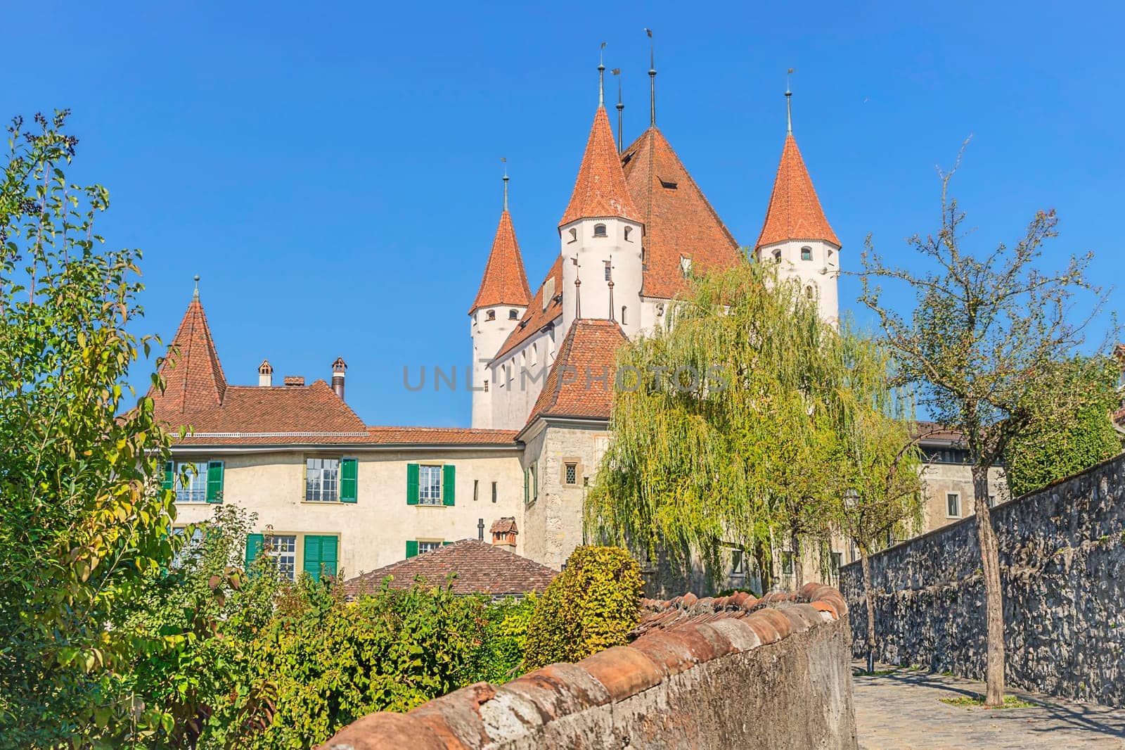 Thun Castle
