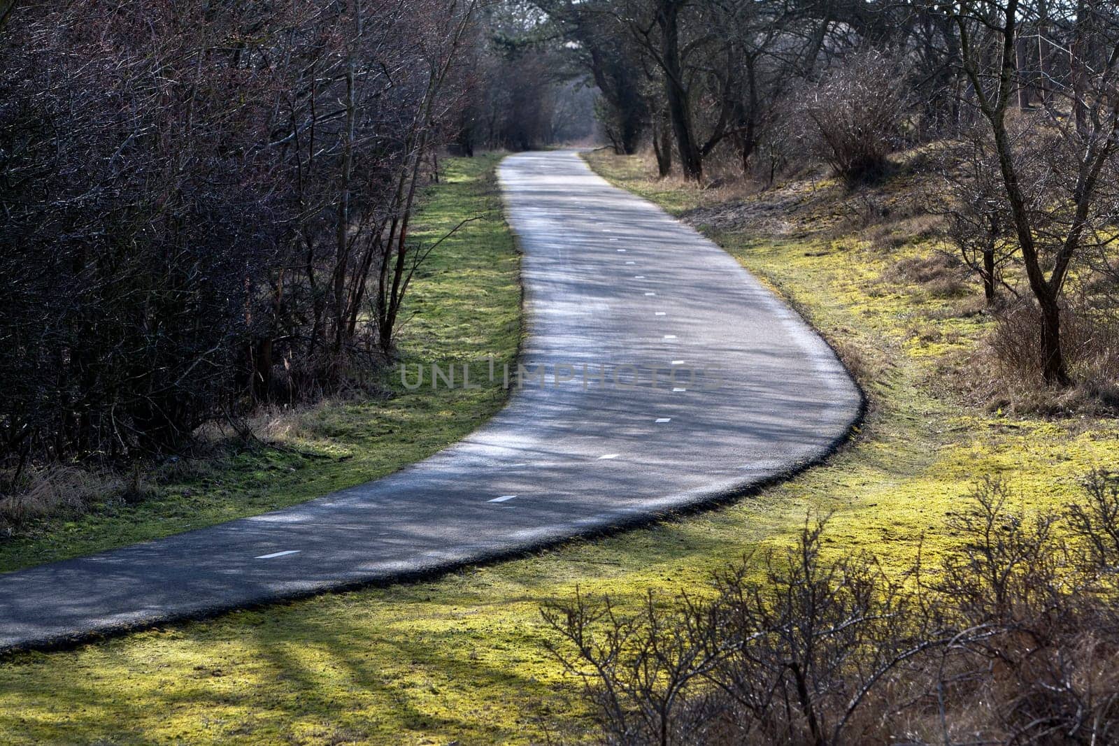 Country road asphalt in the Netherlands