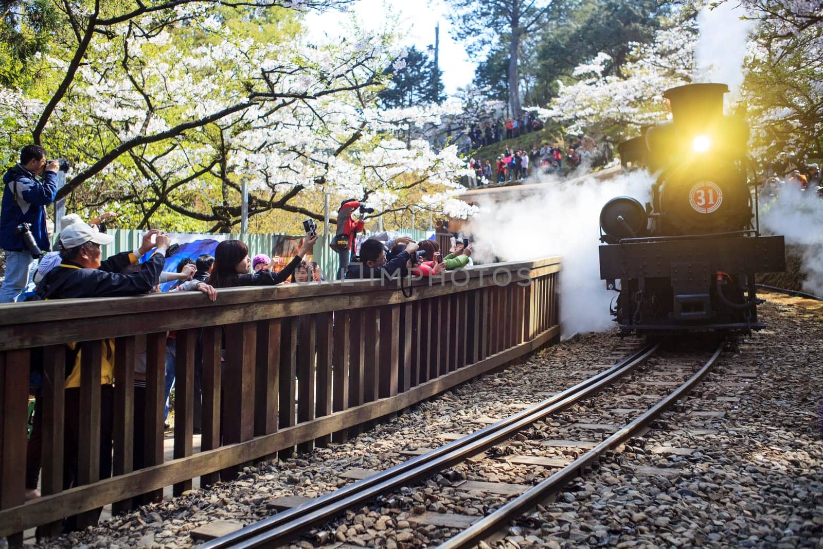 Alishan,Taiwan - March 15,2012