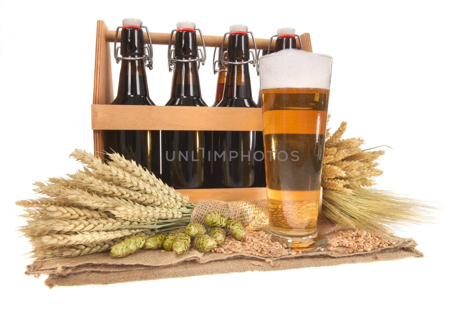 Beer carriers and beer glass with wheat,barley,hops and malt Insulated On White