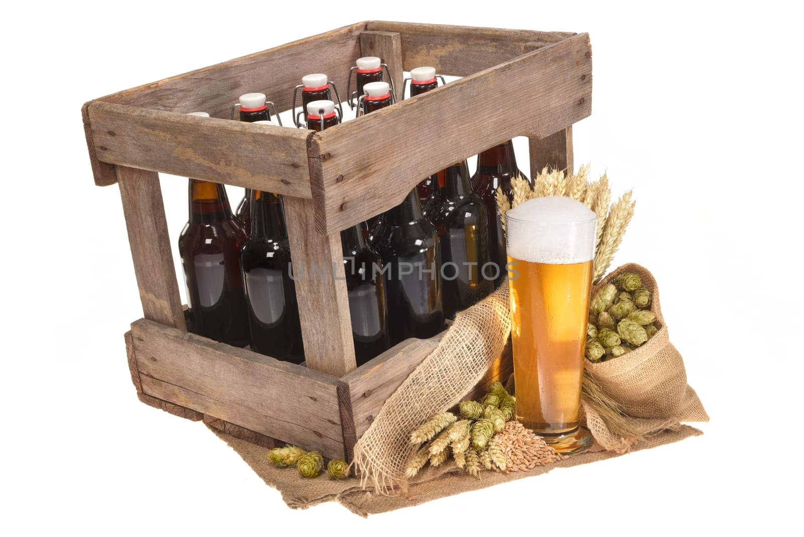 Beer box and beer glass with wheat,barley,hops and malt Insulated On White