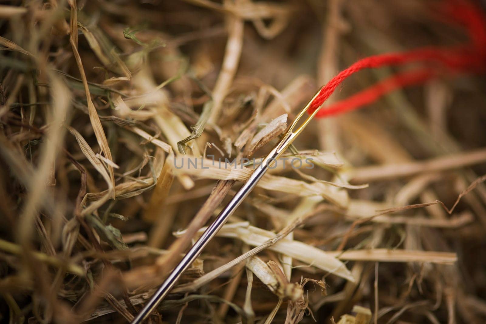 large stuffing needle with red thread in the haystack