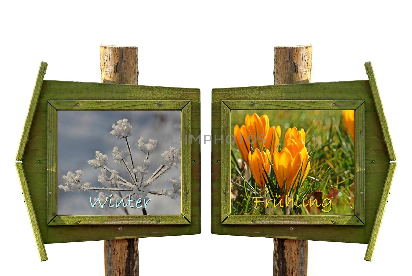 Hope for Spring