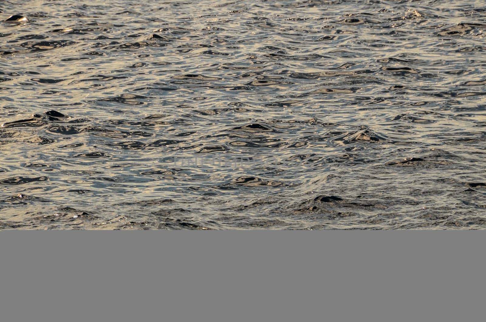 7bafc4fd-391a-4f60-9b1d-4c2ce90de039