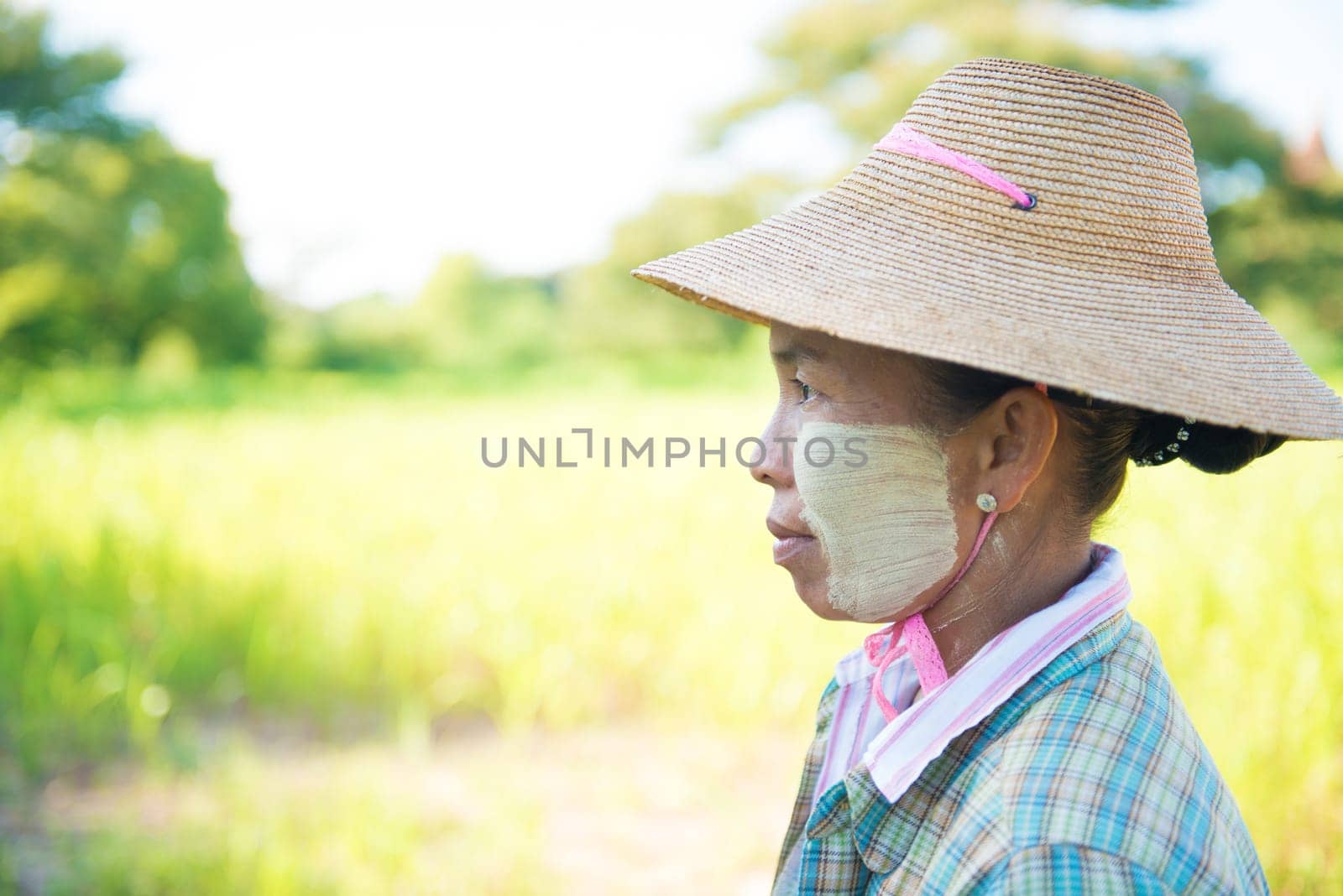 Side view of a mature Burmese female farmer with thanaka powdered face who works in the field.