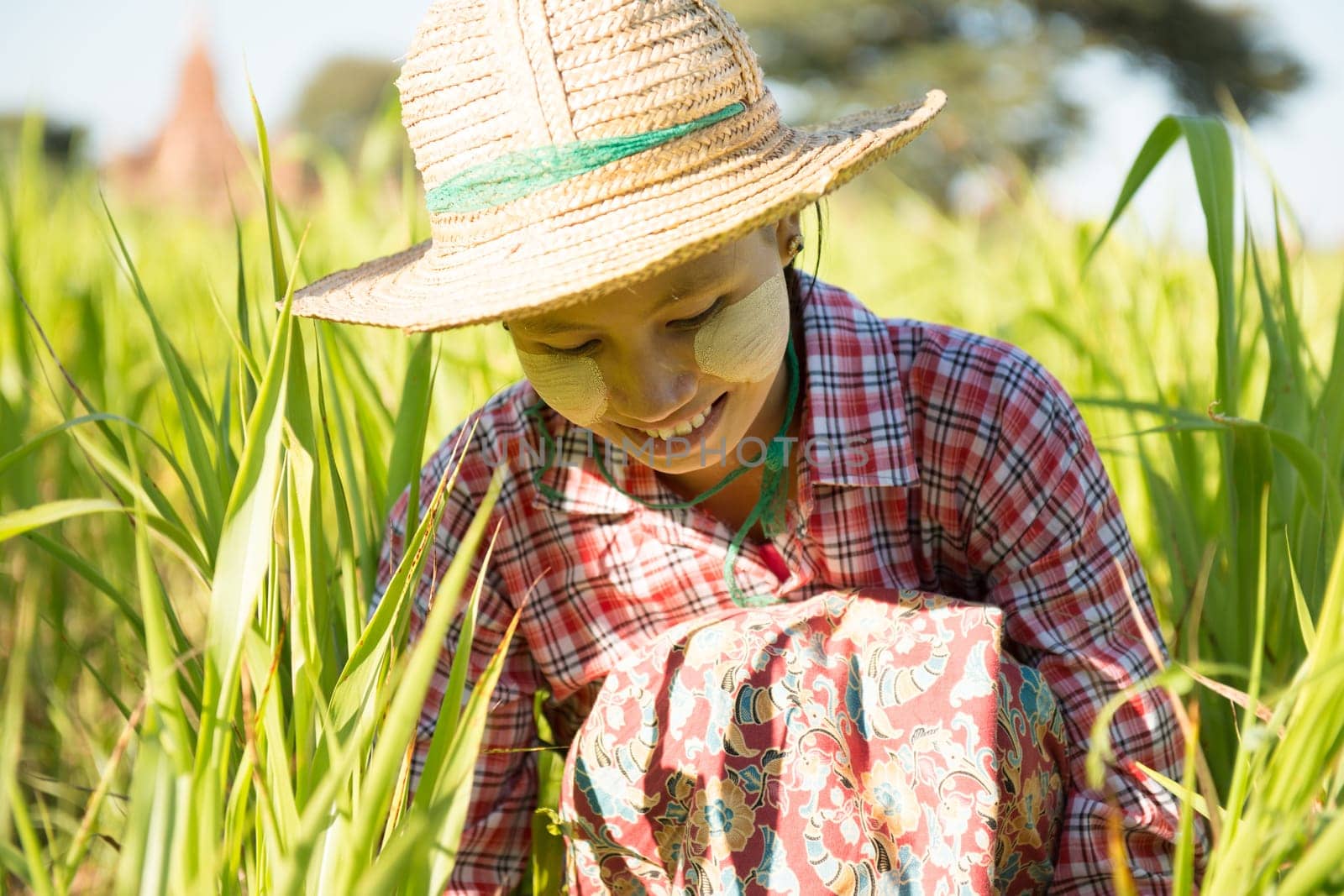 Portrait of a young Burmese female farmer with thanaka powdered face harvesting in field.