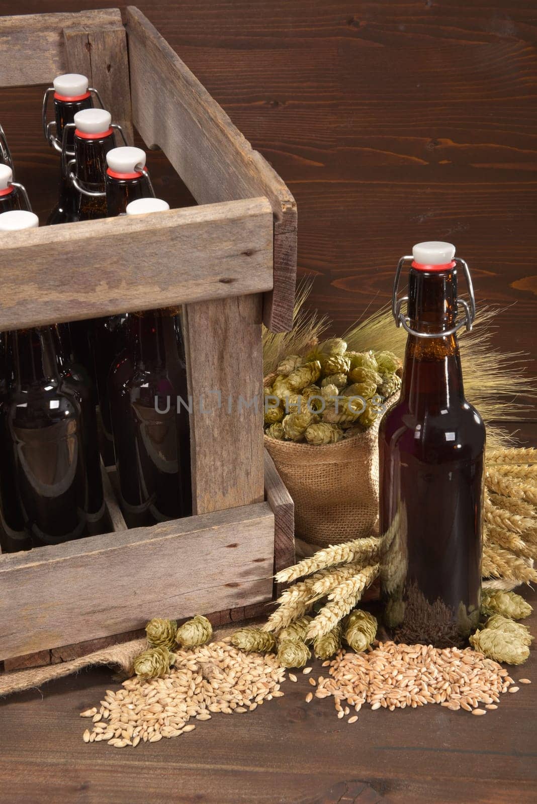 Beer box and beer bottle with wheat,barley,hops and malt