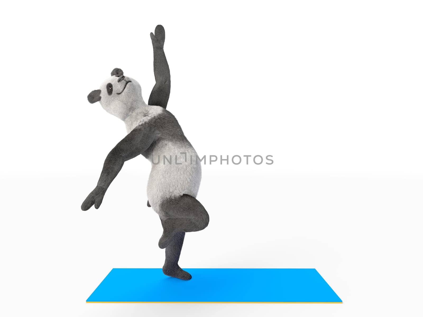 dancing pas step by animal dancer panda