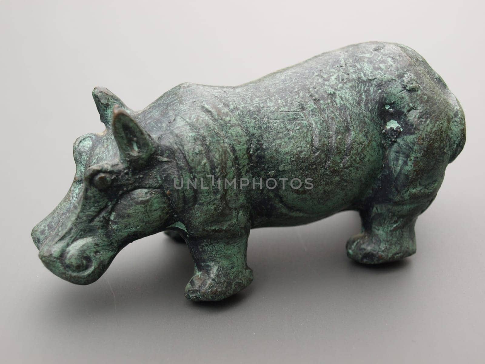 Hippo