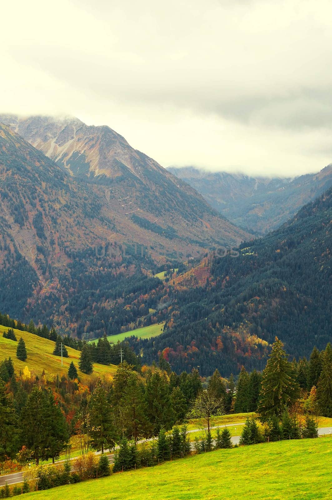 Oberjoch Bayern Deutschland / Bavaria Germany