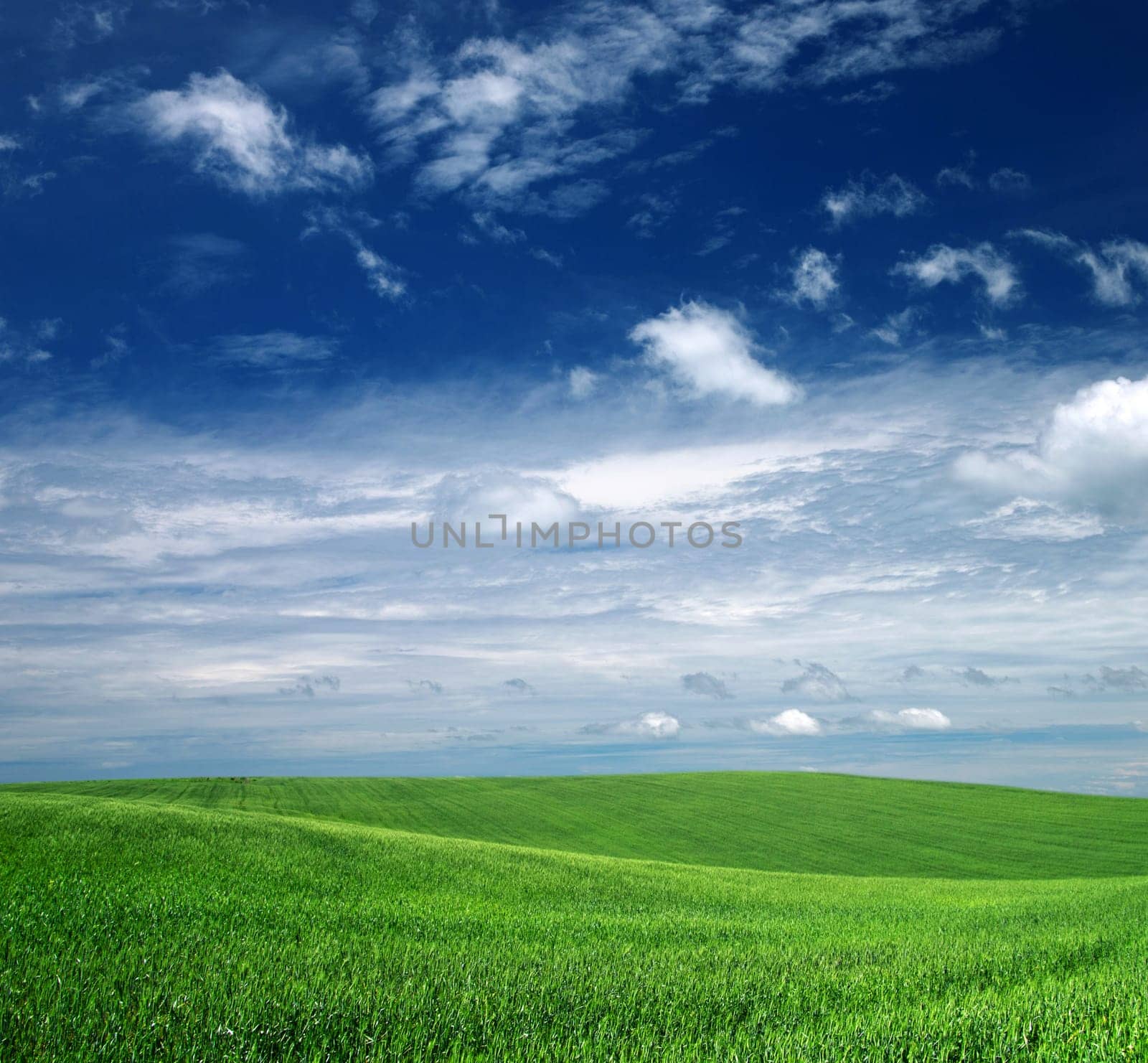 green field and blue sky