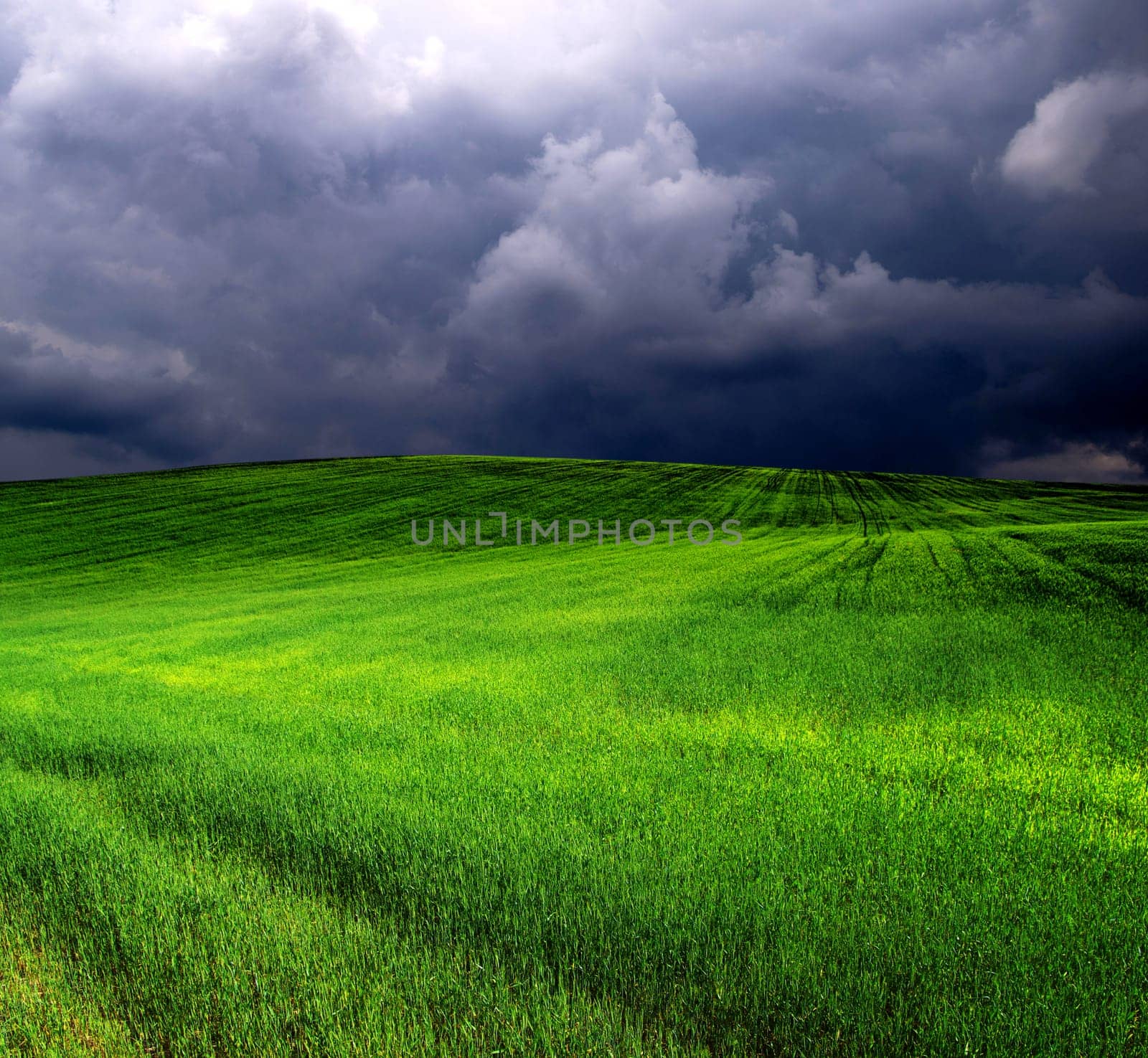 green field and blue sky