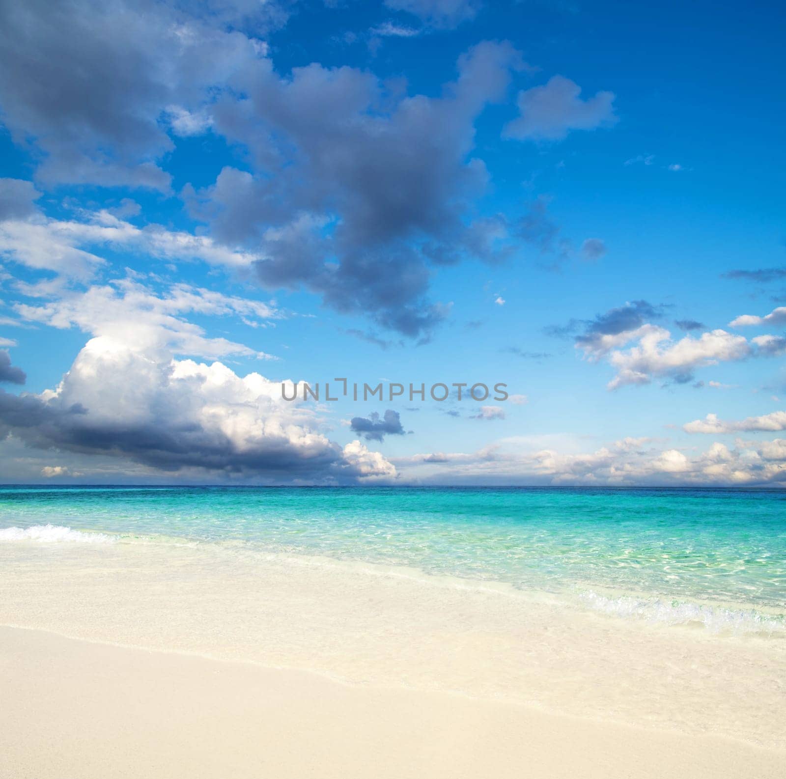 beautiful beach and tropical sea