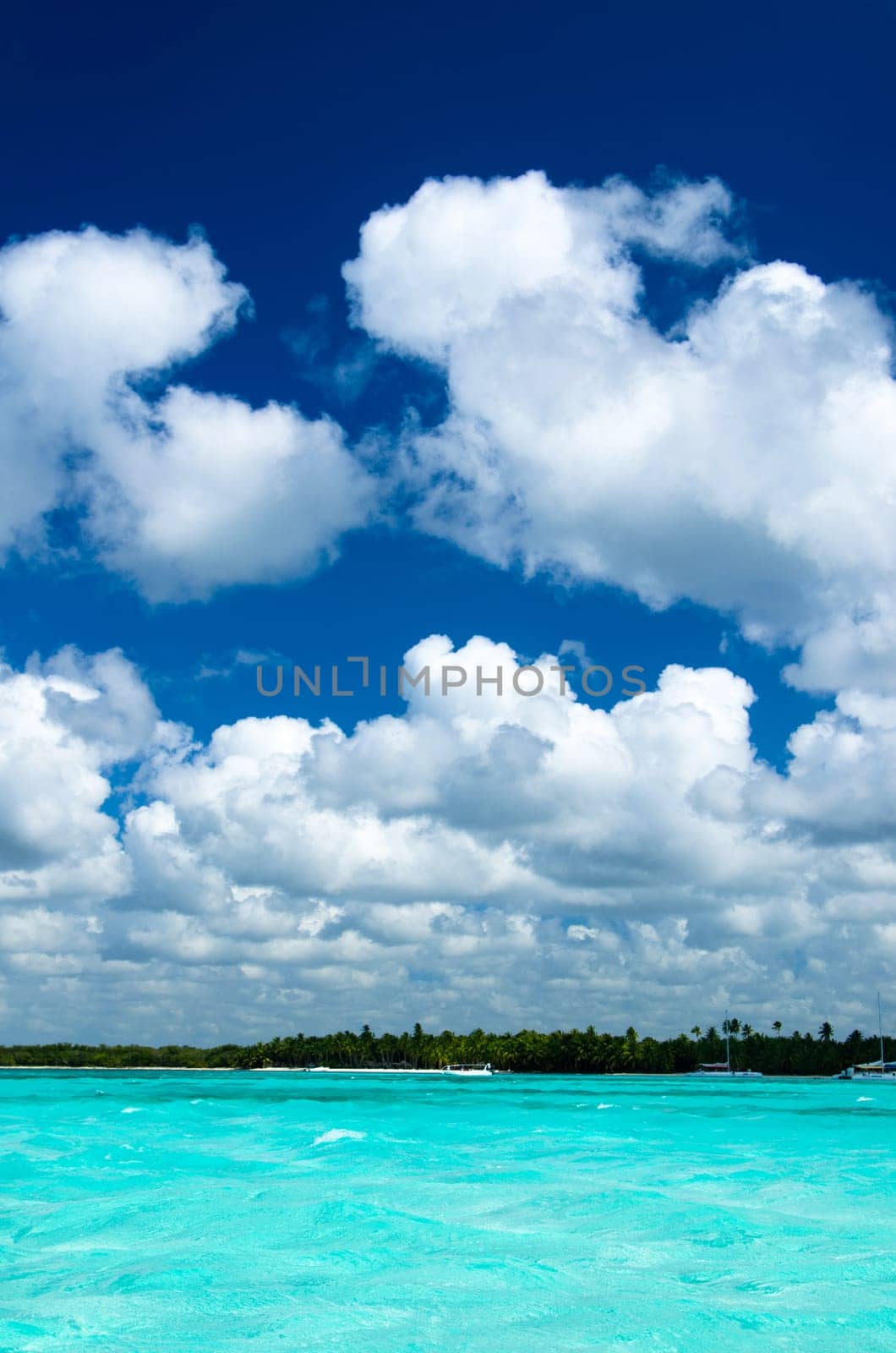 tropical sea under the blue sky