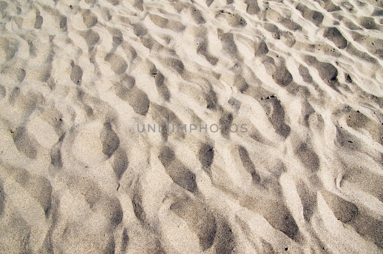 Close up shot of coral sand