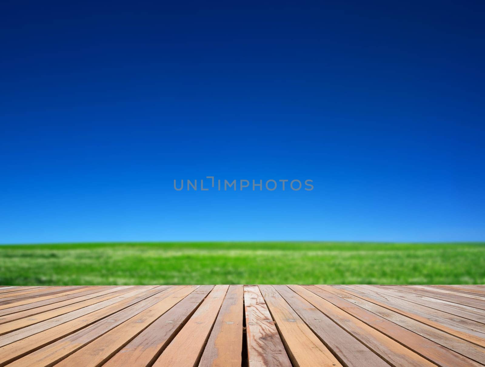 field on a background of the blue sky