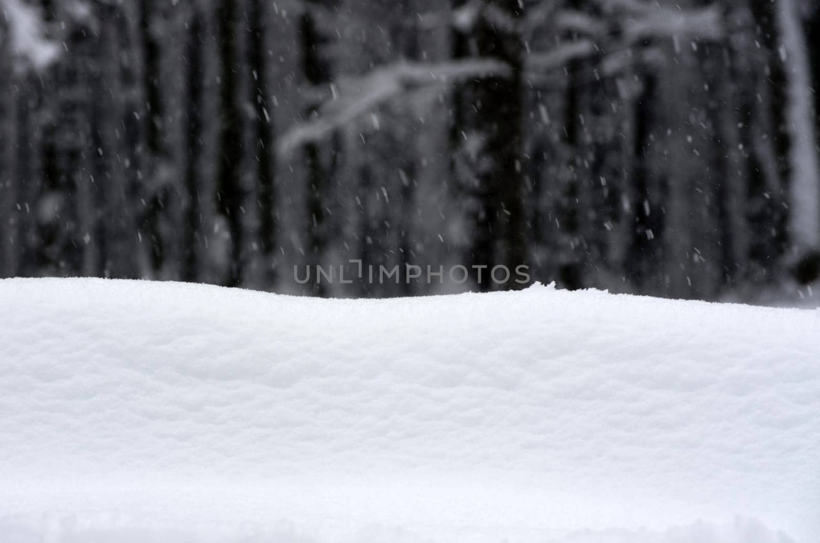 winter background with snow texture close up