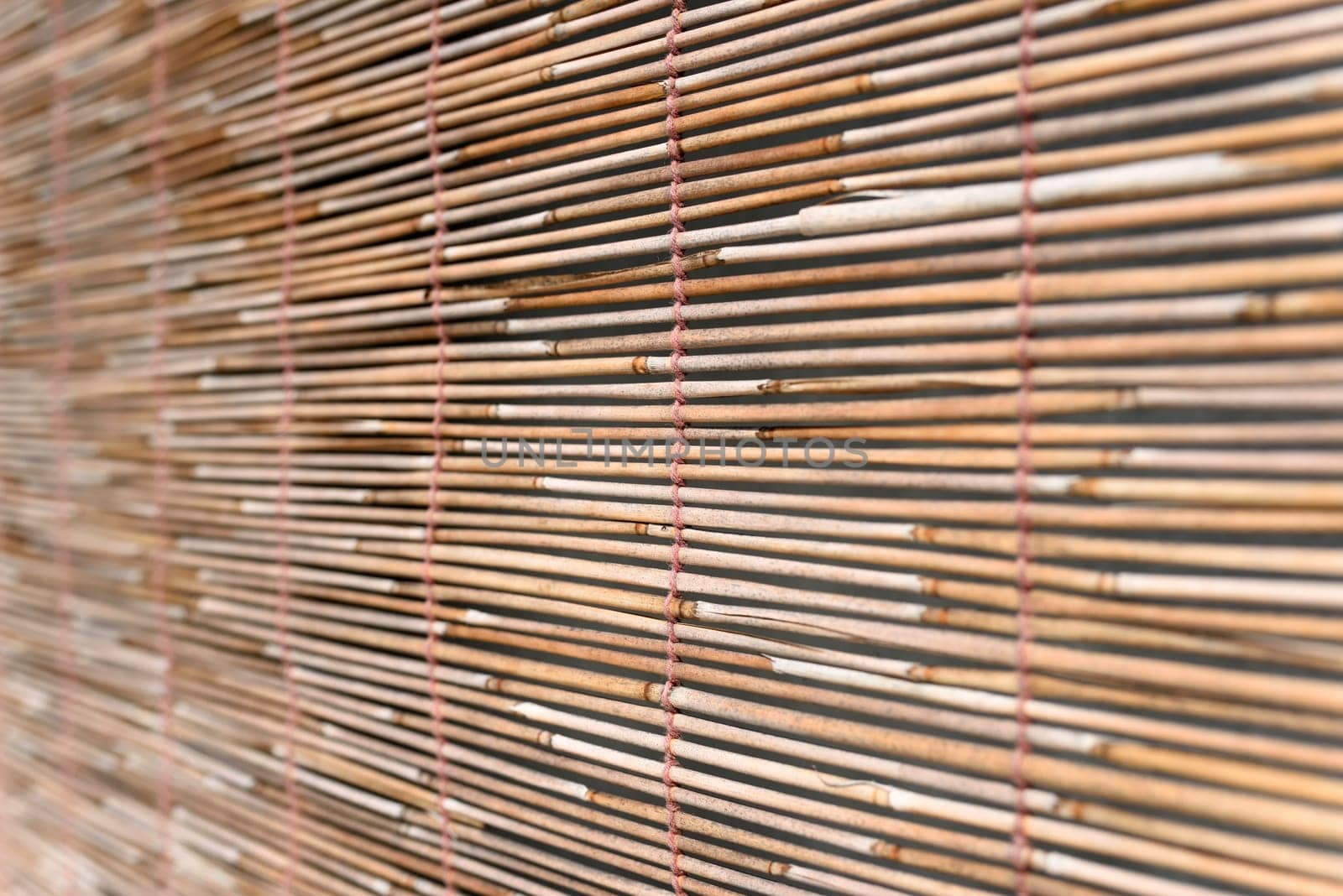 Bamboo blind for background