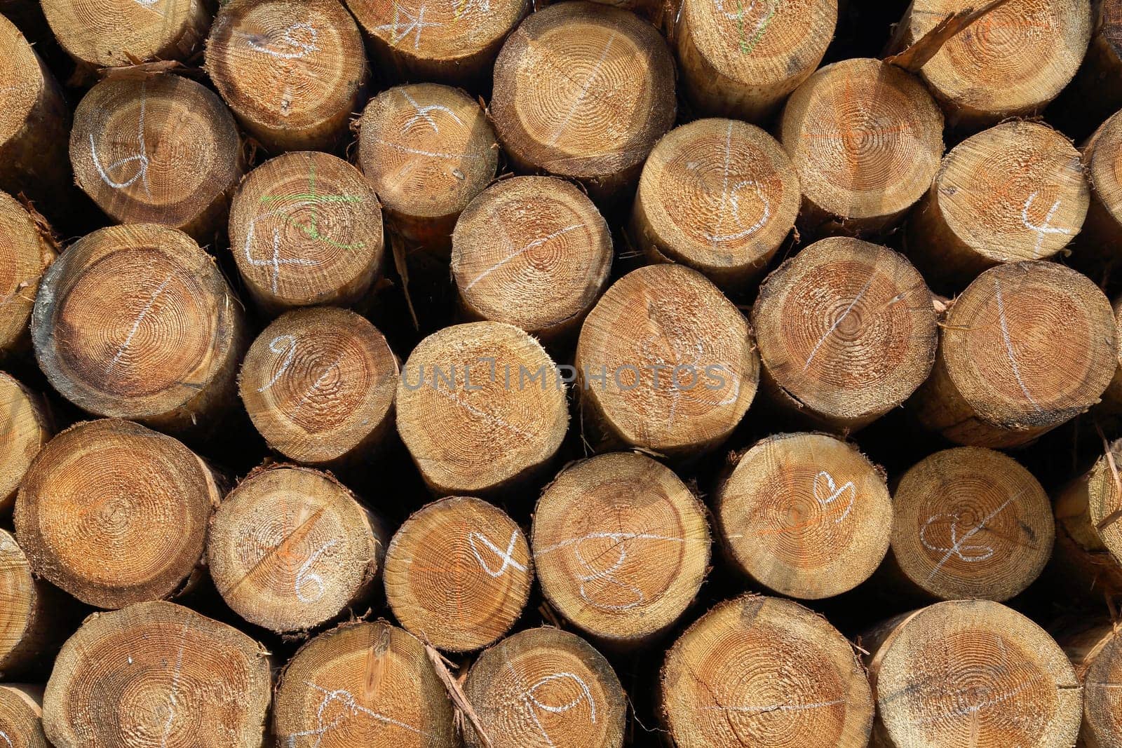 Stack of wood logs background