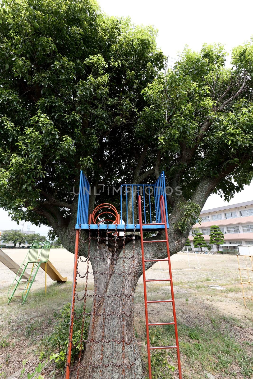 Children in the park, playground slide on a tree