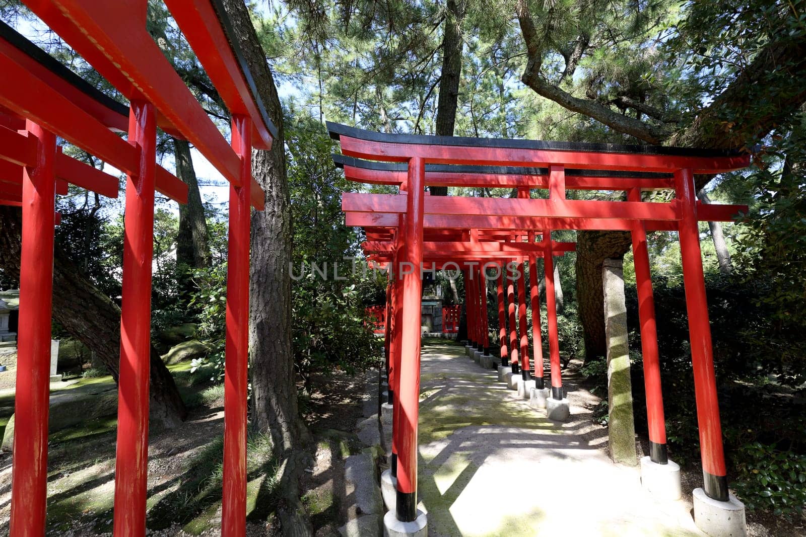 Orange torii gates at shinto shrine in Japan