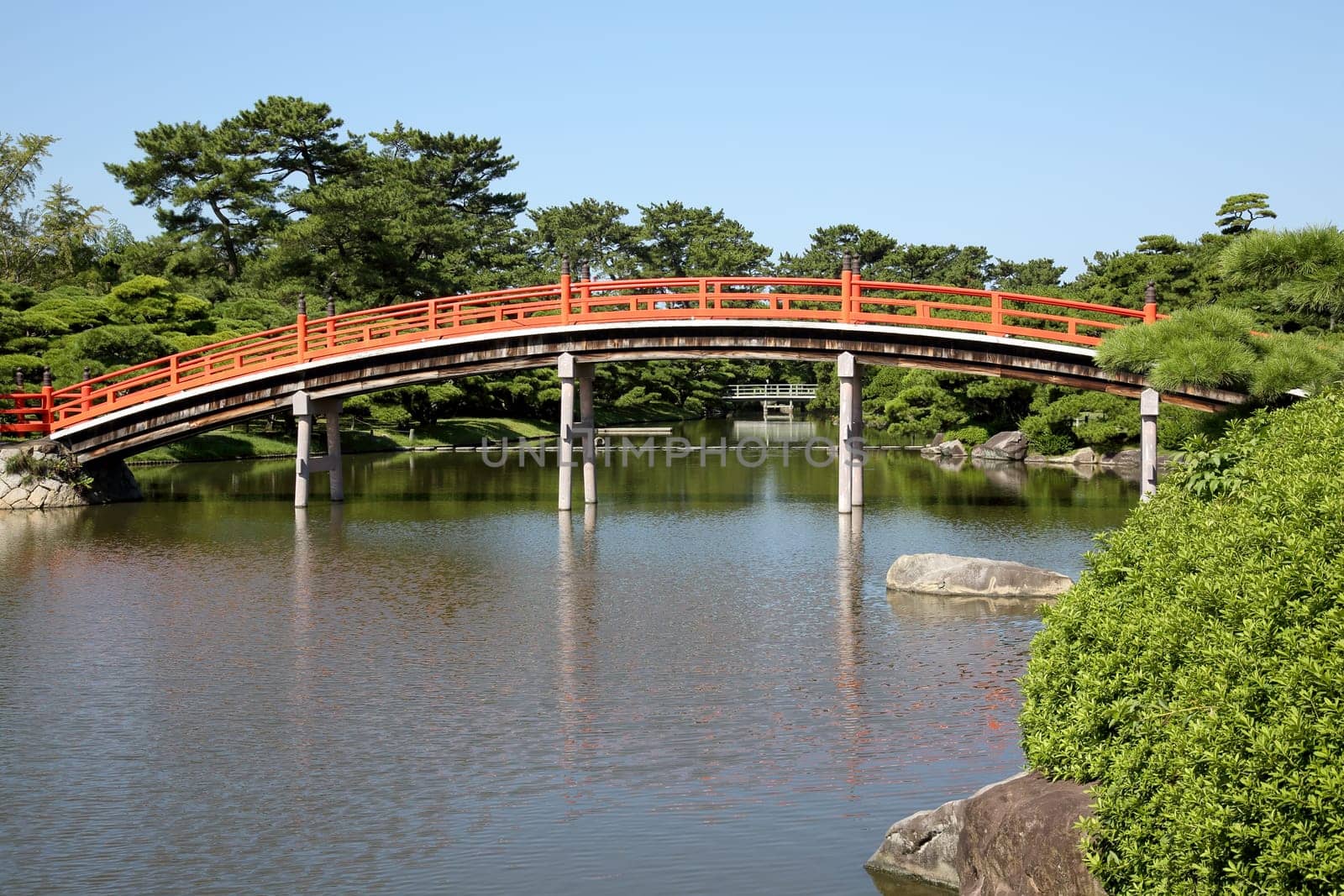 View of red wooden bridge in the Japanese garden