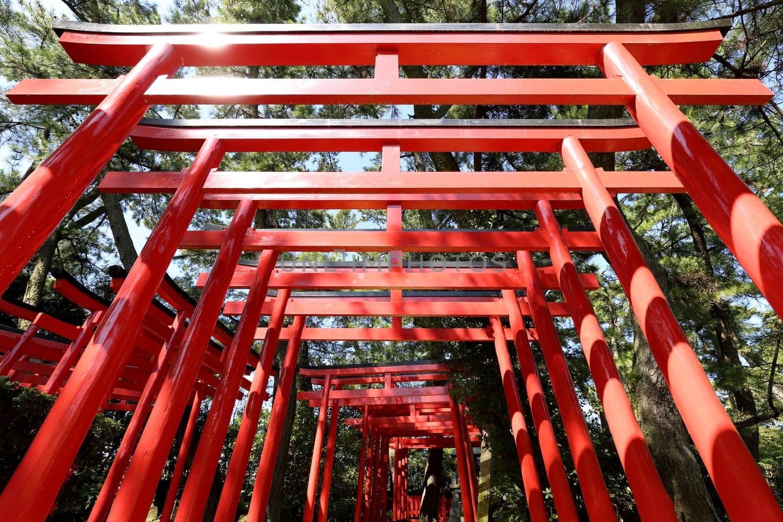 Orange torii gates at shinto shrine in Japan