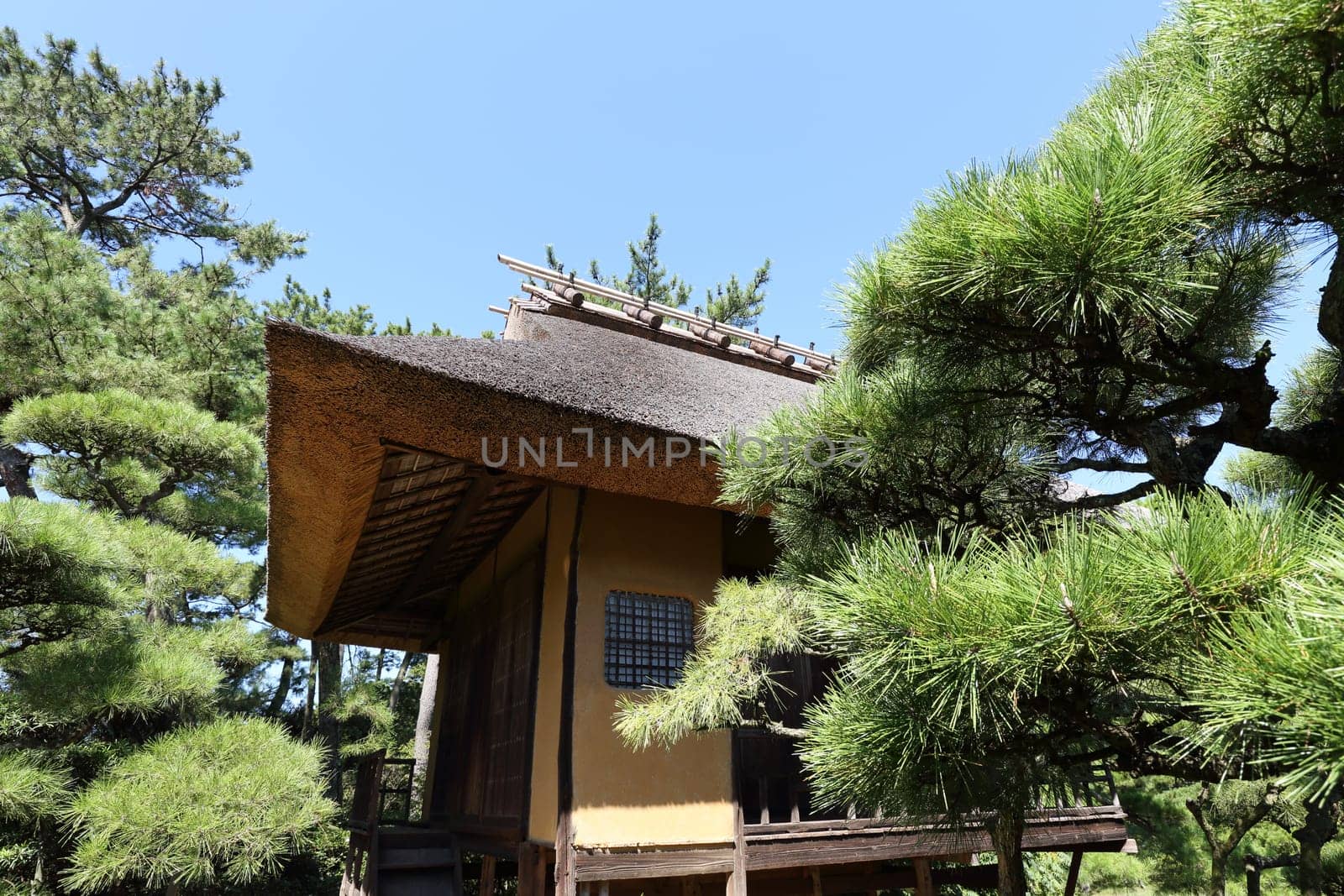 View of Japanese garden with tea house