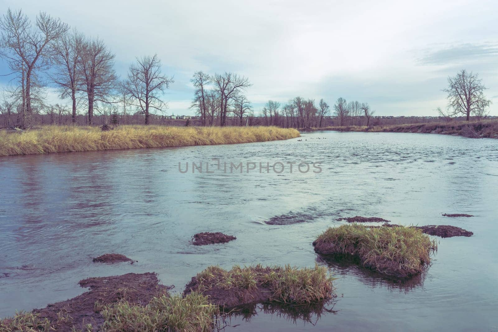 River landscape with grass leading out into the water with trees along the shoreline.