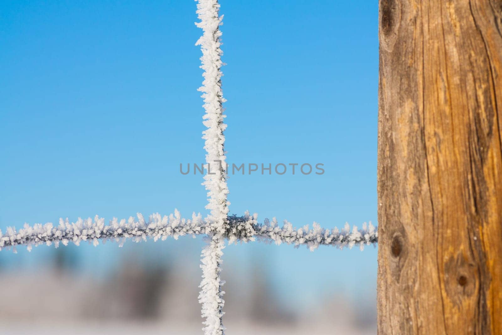 Close-up of a fence covered in hoar frost with tree bokeh and blue sky in the background.
